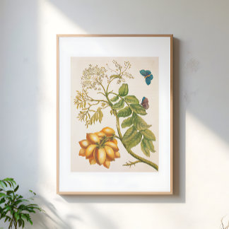 Vintage Fruit Plant With Butterflies Art Poster