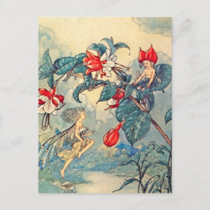 Vintage Fuchsia Fairies Postcard