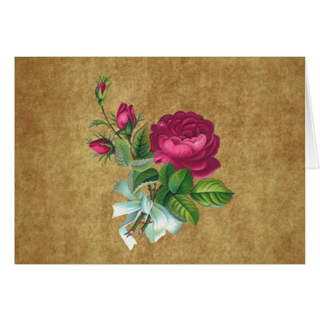 Vintage Fuchsia Rose (Front Horizontal)