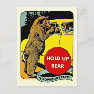 Vintage Fun Yellowstone Park Postcard