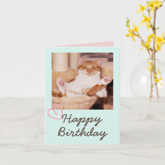 Vintage Funny Cat and Happy Birthday Card