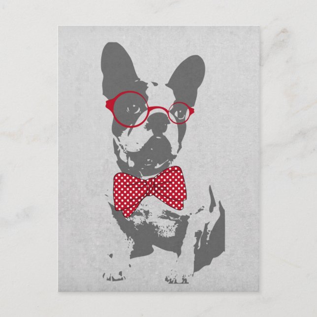 Vintage Funny French Bulldog Postcard (Front)