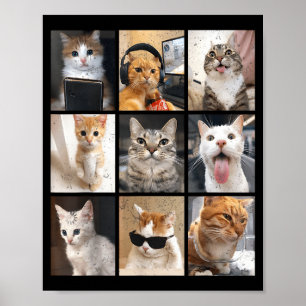 Vintage Funny Memes Cute Cat Men Women Kid Poster