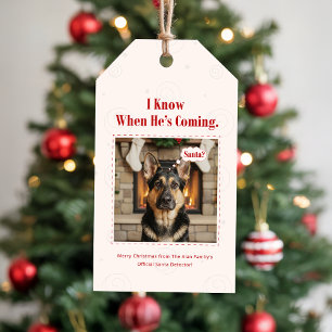 Vintage Funny Pet Dog Photo Christmas Holiday Gift Tags