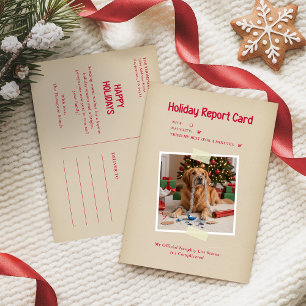 Vintage Funny Pet Photo Christmas Holiday Postcard