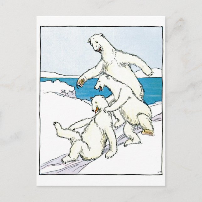 Vintage Funny Polar Bears Postcard (Front)