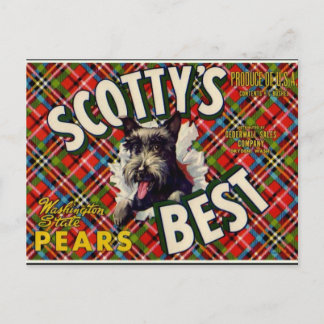 Vintage Funny Scotty Dog Plaid label- postcard