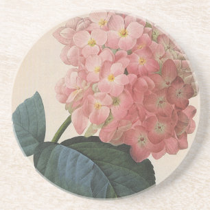 Vintage Garden Flowers, Pink Hydrangea Hortensia Coaster