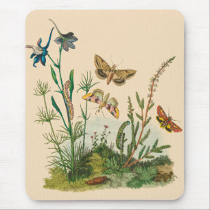 Vintage Garden Insects, Butterflies, Caterpillars Mouse Pad