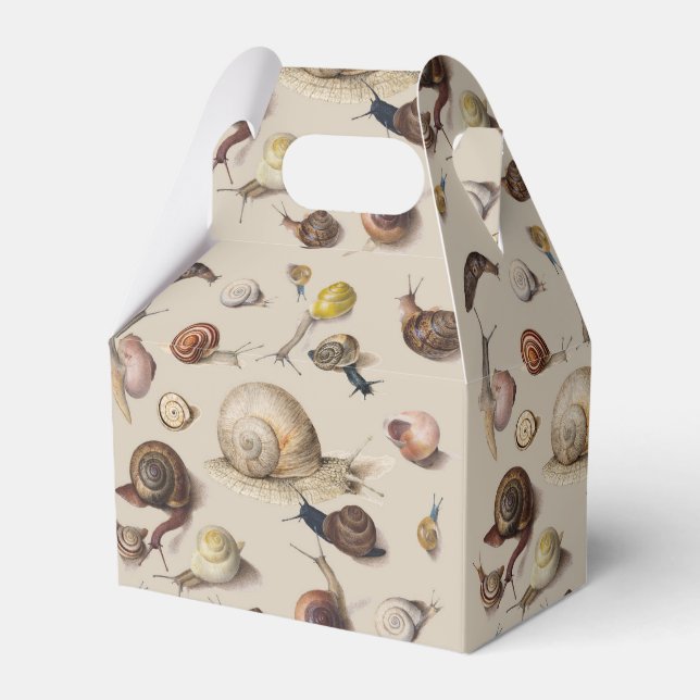 Vintage Garden Snails Scientific Illustration Favor Box (Front Side)