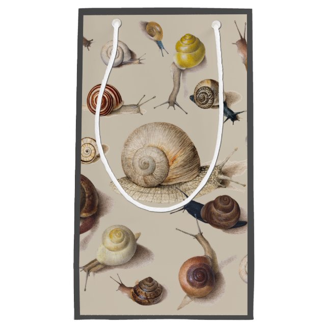 Vintage Garden Snails Scientific Illustration Small Gift Bag (Front)