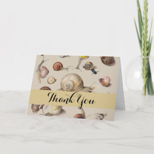 Vintage Garden Snails Scientific Illustration Thank You Card