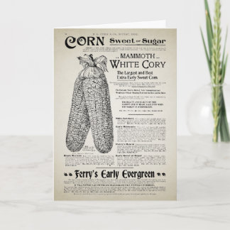 Vintage Gardening Catalogue Page Card