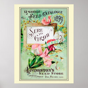 Vintage Gardening Flower Seeds Catalogue Poster