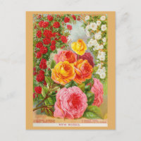Vintage Gardening Rose Flower Seeds Catalogue
