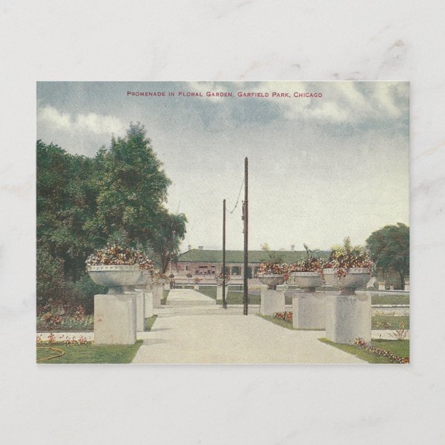 Vintage Garfield Park Chicago Illinois Postcard (Front)