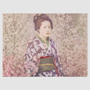 Vintage Geisha and Cherry Blossom Tissue Paper