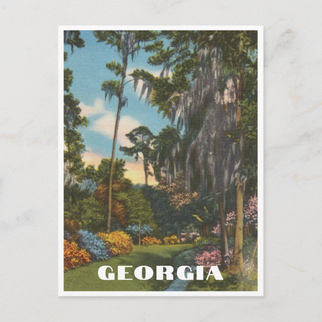 Vintage Georgia Garden Scene Postcard (Front)