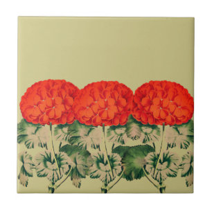 Vintage Geranium Trio - bold floral Tile