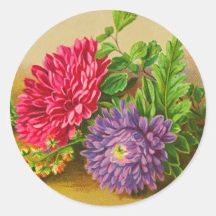 Vintage Gerber Daisy Classic Round Sticker