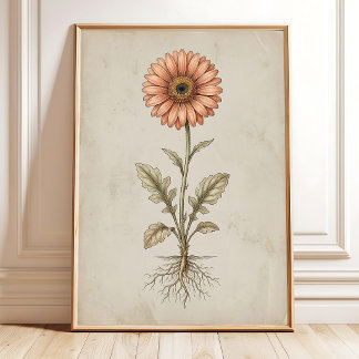 Vintage Gerbera Daisy Wall Art Print