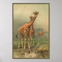 Vintage Giraffe Art Customize Print African Plains