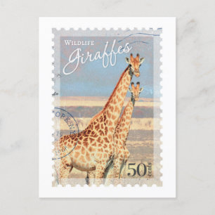 Vintage Giraffe Postage Stamp Postcard