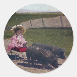 Vintage Girl and Her Pet Pigs Classic Round Sticker