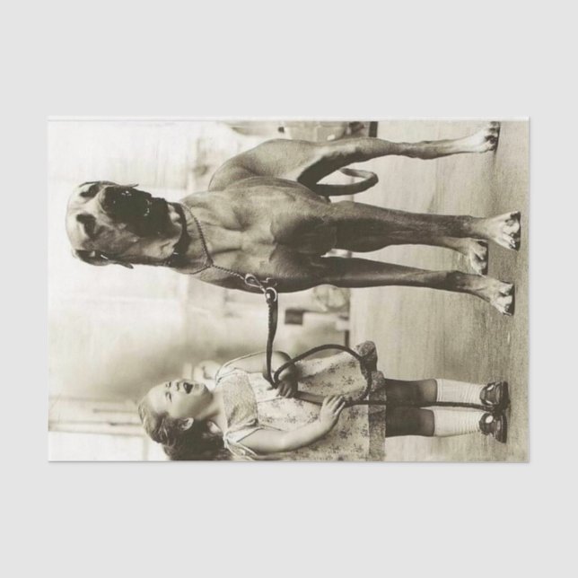 Vintage Girl with Great Dane Dog Tissue Paper (Front)