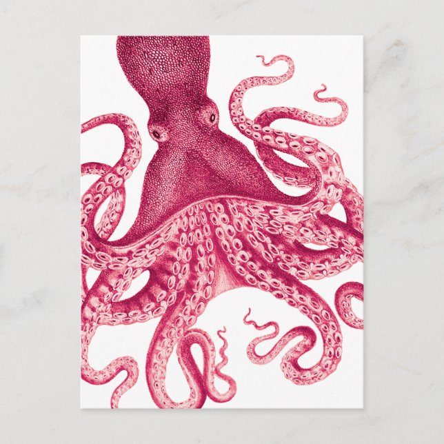 Vintage Girly Pink Octopus Illustration Postcard (Front)