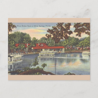 Vintage Glass Bottom Boats Florida Post Card