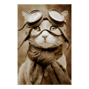 Vintage Goggle Cat Scarf Retro Print