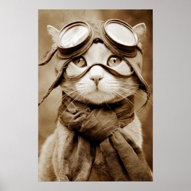 Vintage Goggle Cat Scarf Retro Print (Front)