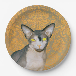 Vintage Gold Damask Sphynx Cat by Rex Cats Paper Plate