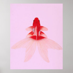 Vintage Gold Fish Wallart Poster