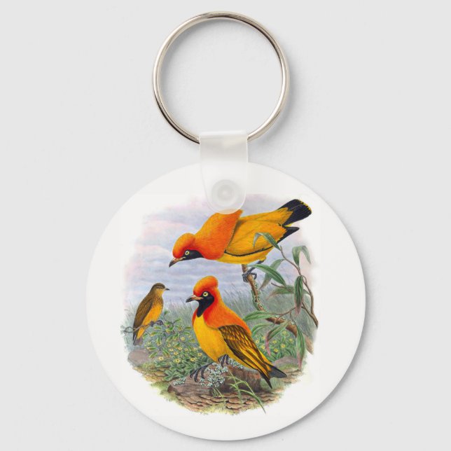 Vintage Golden Bird Of Paradise Basic Button Keychain (Front)