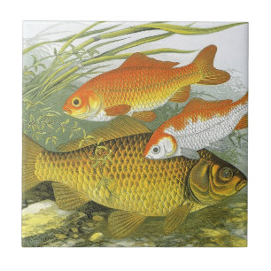 Vintage Goldfish Koi Fish, Marine Aquatic Sea Life Tile
