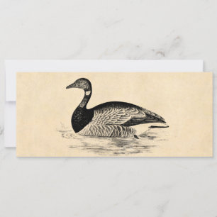 Vintage Goose Illustration - 1800's Geese Template