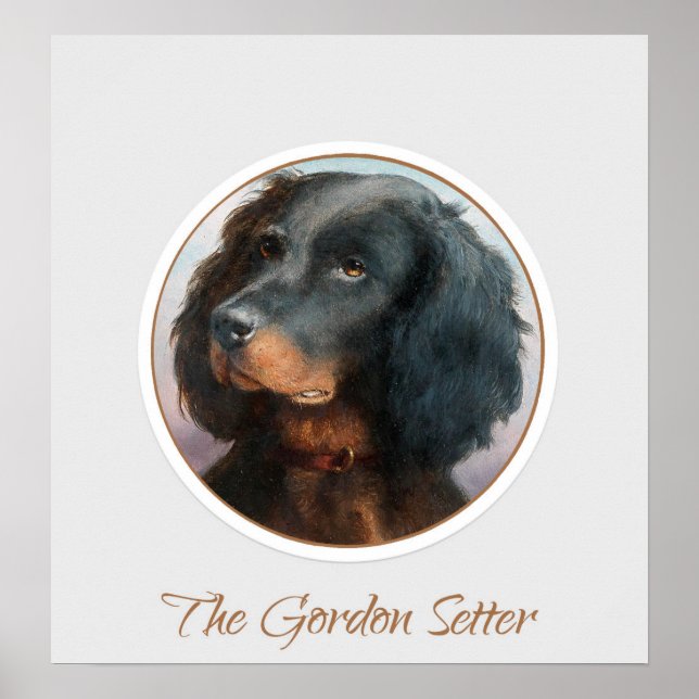 Vintage Gordon Setter Poster (Front)