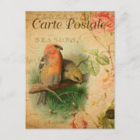 Vintage Gosbeak Birds Floral French Carte Postale
