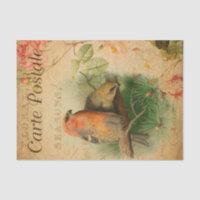 Vintage Gosbeak Birds Floral French Carte Postale