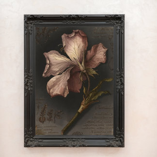 Vintage Gothic Botanical Flower Study Art Photo Print