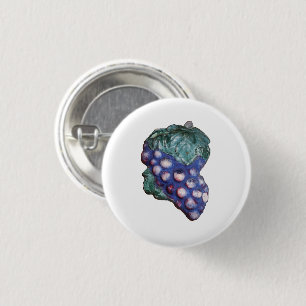 Vintage Grape Plaster Plaque Items 1 Inch Round Button