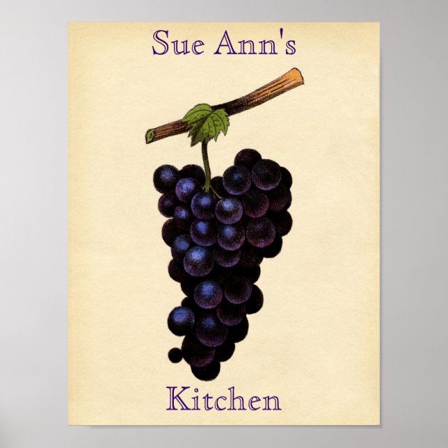 Vintage Grape Poster (Front)
