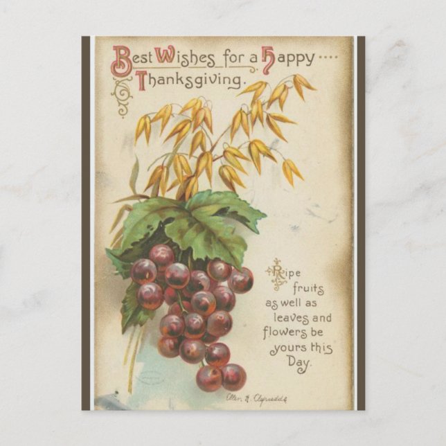 Vintage Grapes and Leaves Thanksgiving Postcard (Front)