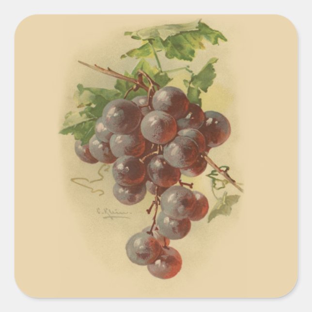 Vintage grapes square sticker (Front)