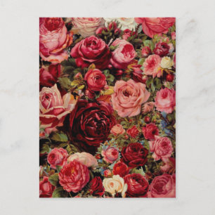 Vintage Graphic Postcard