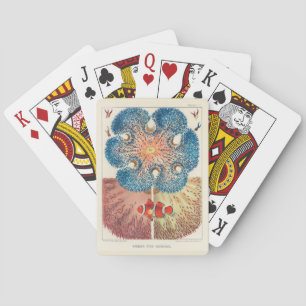Vintage Great Barrier Reef Anemones Carol Fish Playing Cards