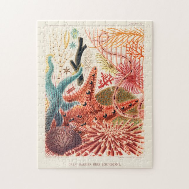 Vintage Great Barrier Reef Australia Echinoderms Jigsaw Puzzle (Vertical)