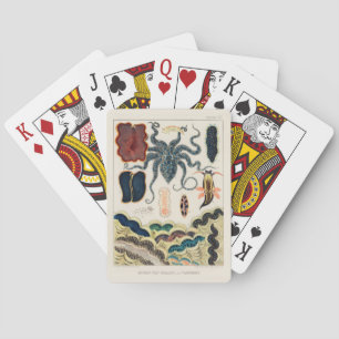 Vintage Great Barrier Reef Molluscs and Planarians Playing Cards